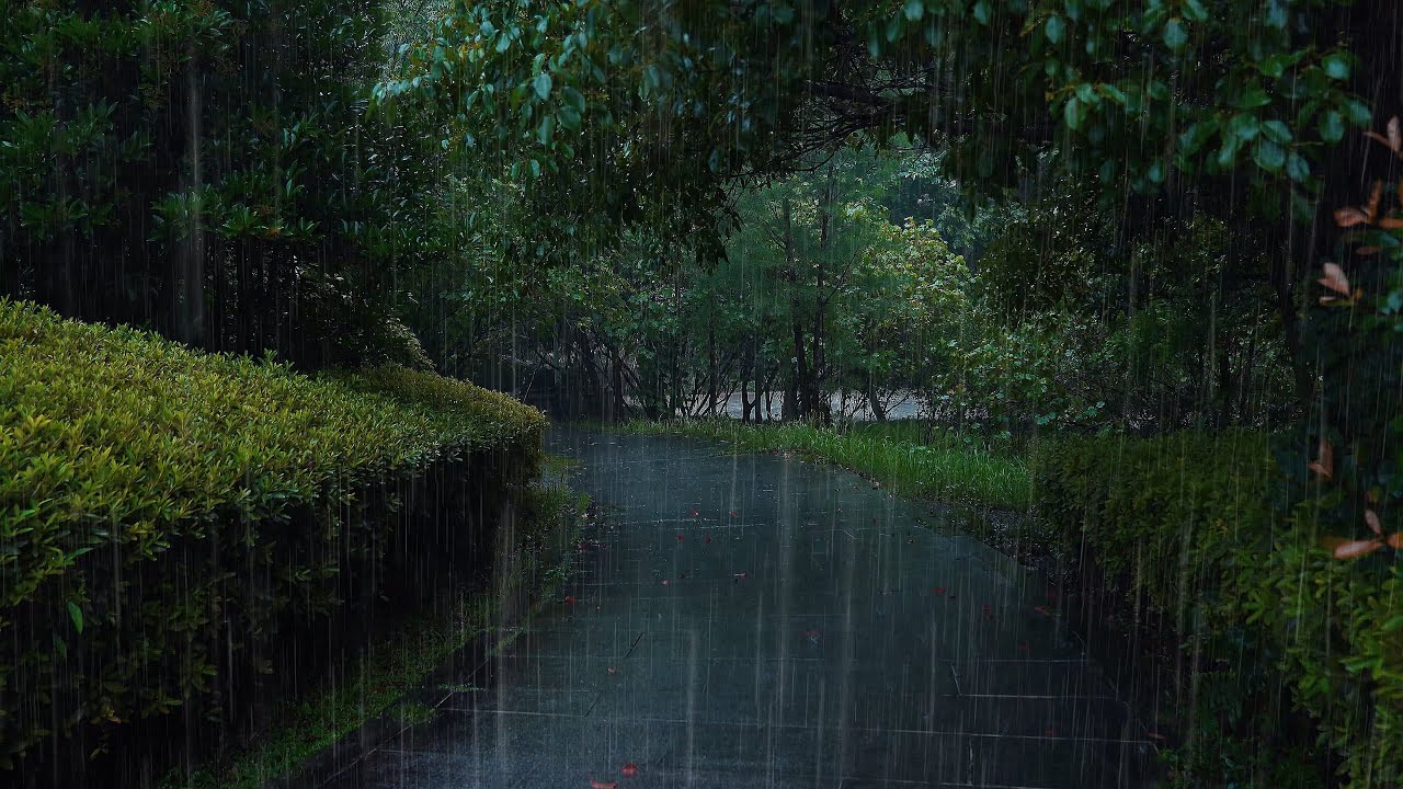 🔴10小時森林舒緩雨聲ASMR丨觸發深度放鬆，助你安睡，真實雨聲錄製，高清音質，立體聲效果，雨聲治愈，療愈身心丨緩解壓力丨rain sounds #助眠音樂