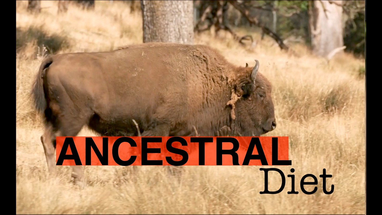 What Our Ancestors Ate — And Why It Matters Now