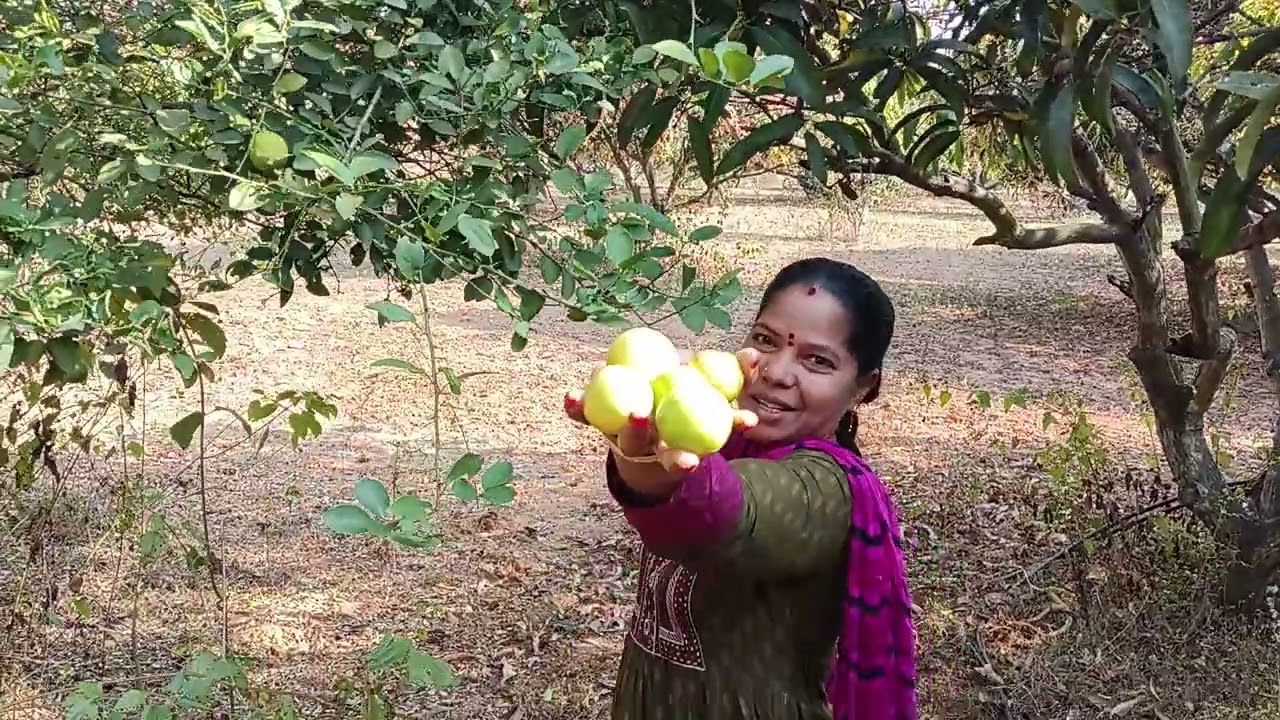 தோட்டத்துல மயில் பார்க்கலாம் நினைத்தேன் ஆனா முடியவில்லை 