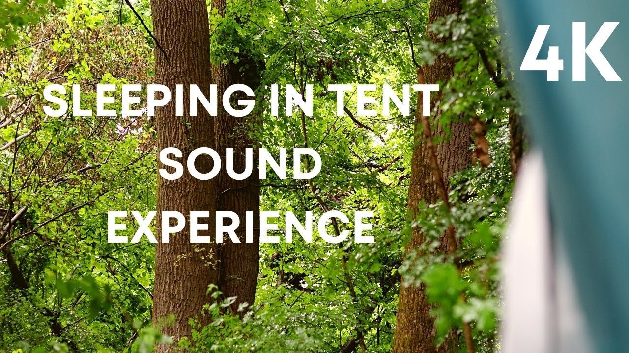 SLEEP IS THE BEST MEDITATION! 20 minutes power nap with real heavy rain on tent sound in the forest!