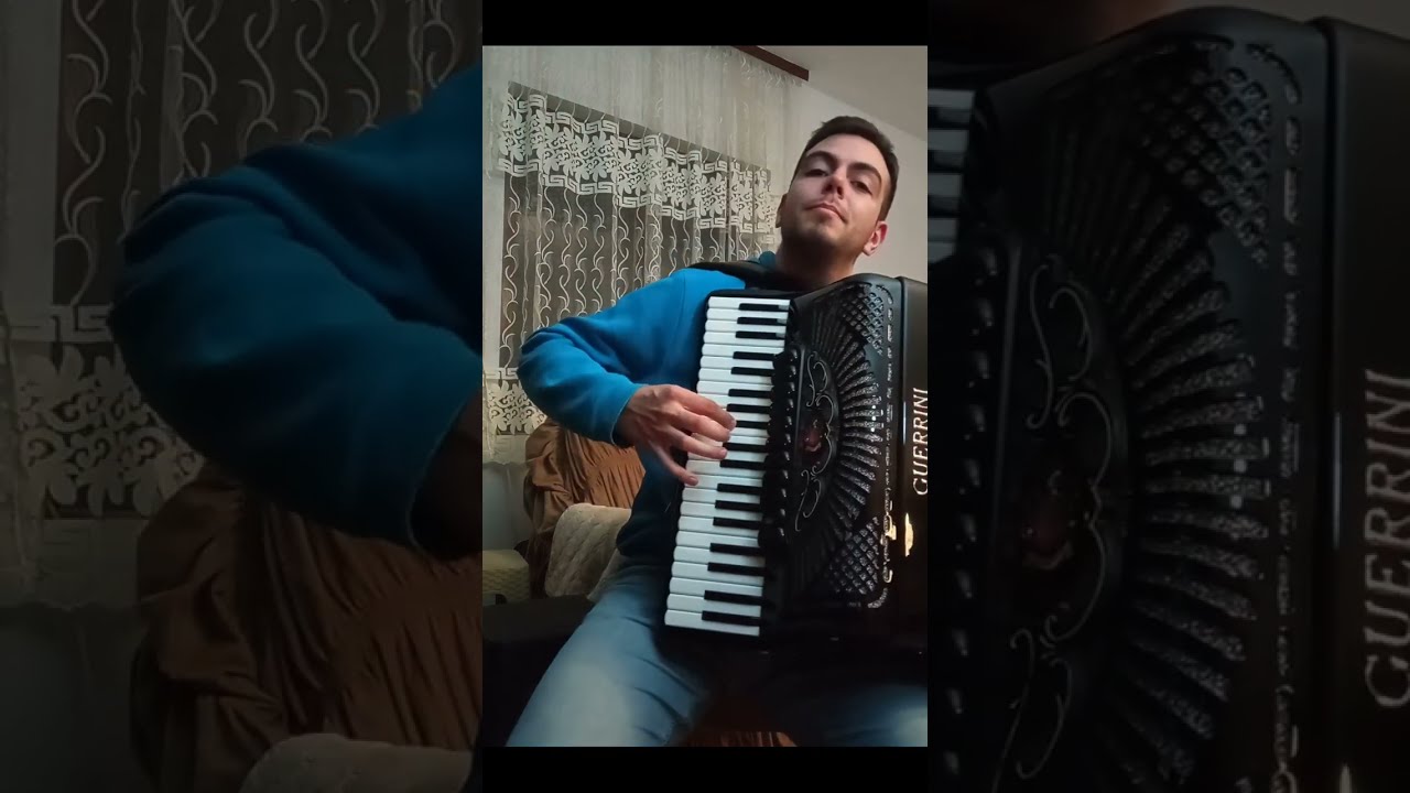 Divlje ruže - Instrumentalna obrada - Andrija Đonić