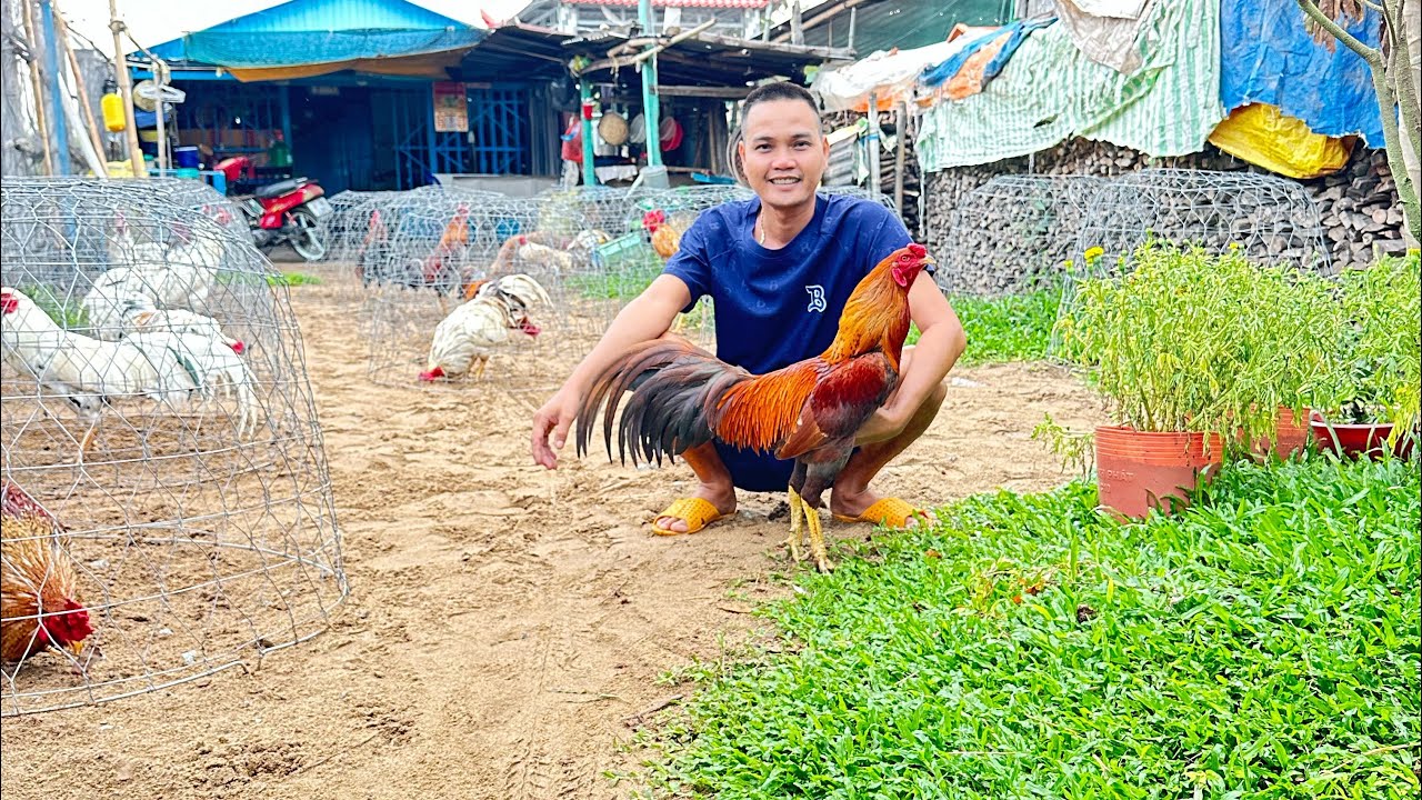 Lên Tốp 🐓 Mới Phục Vụ Ae Nhảy 💃 Múa 🕺 Ae Ngày Mới Phát Tài 