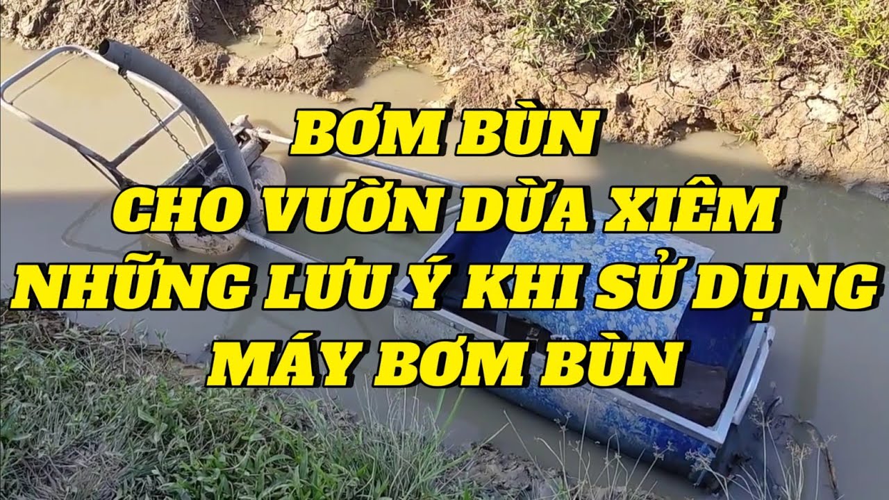 #195 | NHỮNG LƯU Ý KHI BƠM BÙN CHO VƯỜN DỪA XIÊM | KHẮC DUY TV