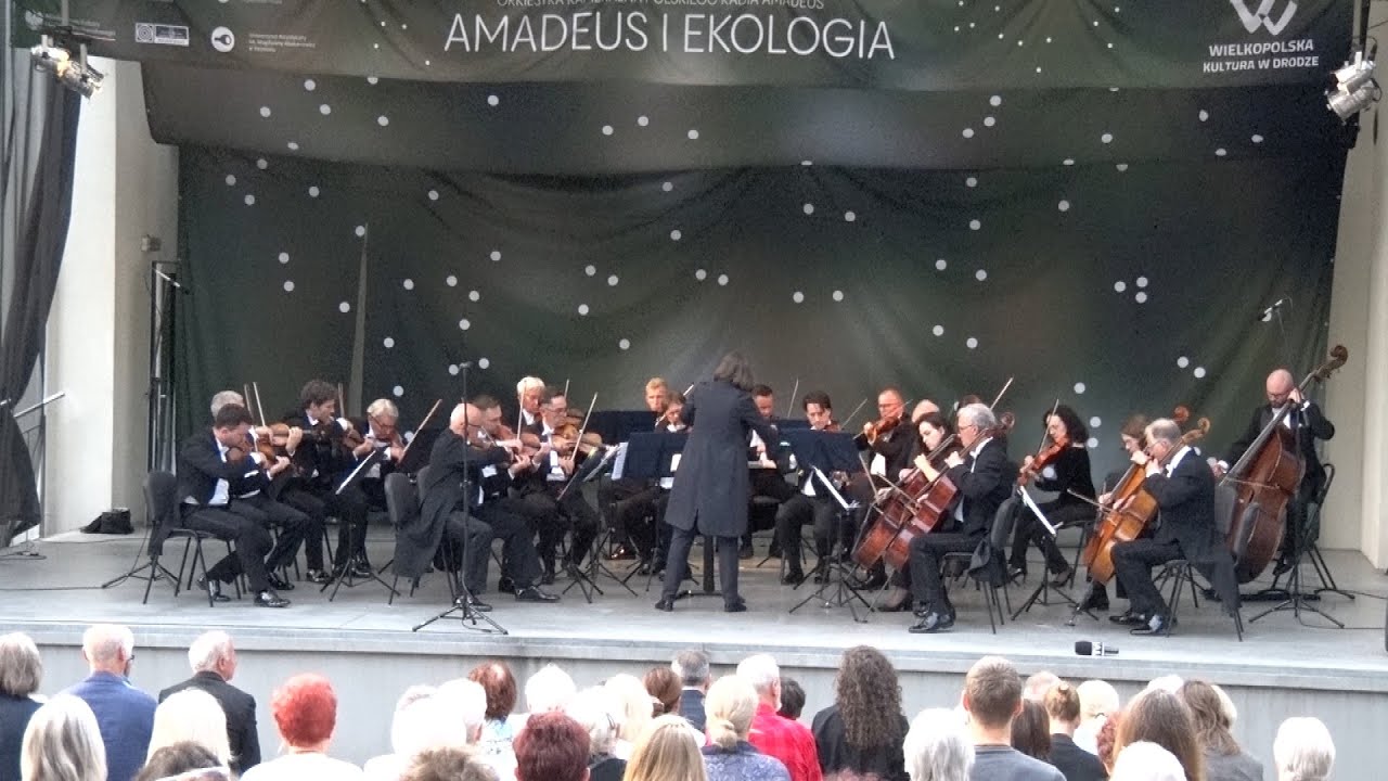 Orkiestra Amadeus z koncertem w eSTeDe