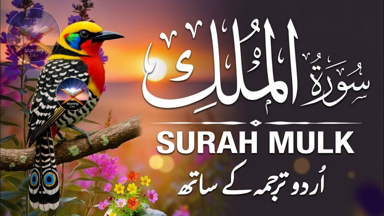 Surah Al-Mulk with Urdu Tarjuma | Beautiful Full Quran Recitation