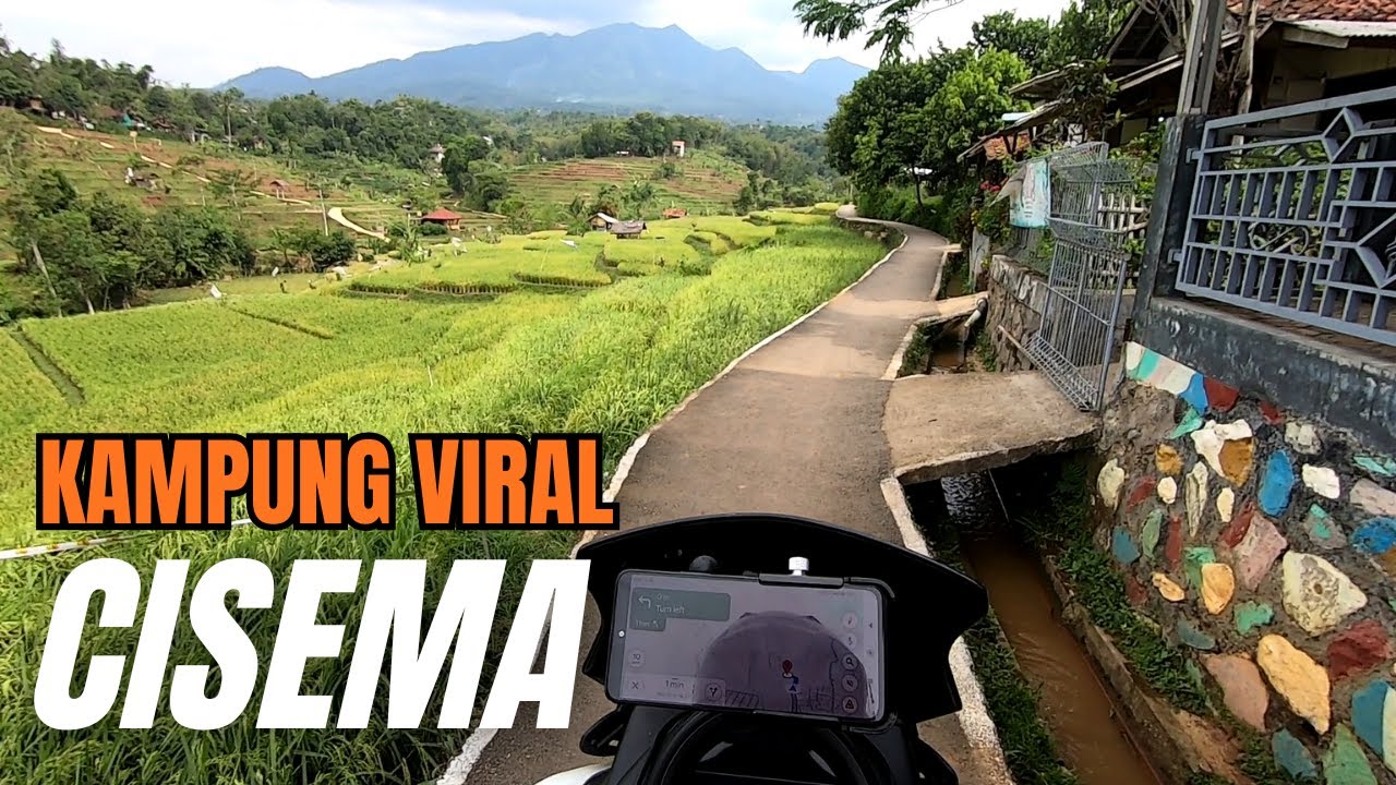 Jalan Menuju Kampung Viral Jalan Sawah Indah Cisema Batukarut Arjasari Bandung