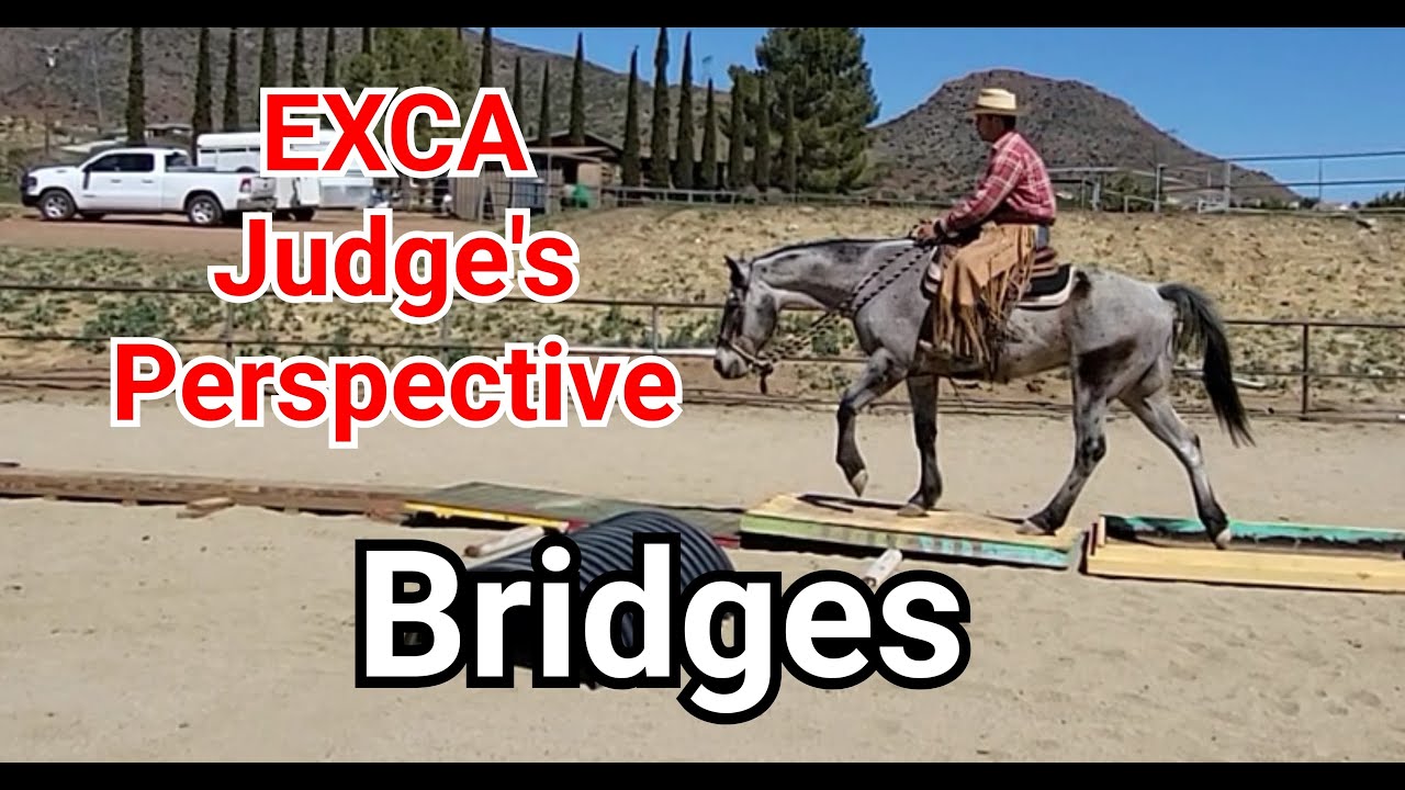 Improving your Bridge Obstacle Scores