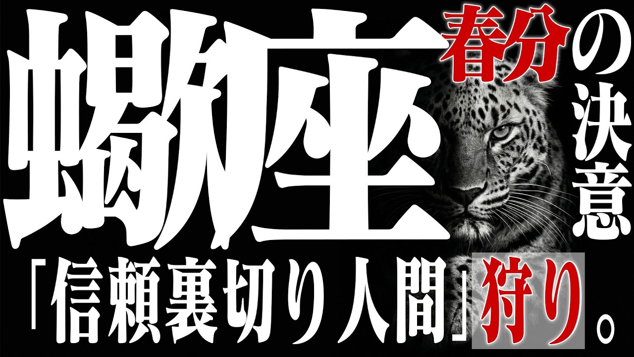 【蠍座・春分】「私が我慢して全部やる」は今日で終了です。気合と根性を技術に外注し、あなたの時間と体力を取り戻す最強のシステム構築。