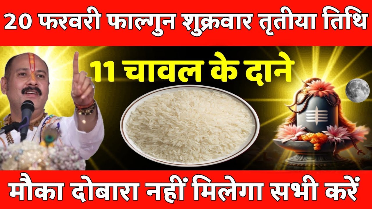 20 फरवरी फाल्गुन शुक्रवार तृतीया तिथि के दिन 11 चावल के दाने वाला उपाय जरुर करे || Pradeep Ji Mishra