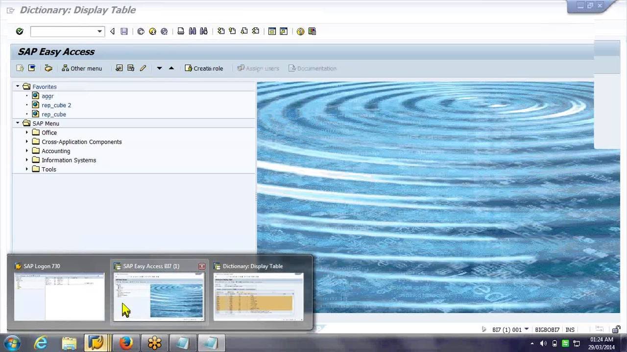 SAP BW 7.3 Training Tutorials - Part 1