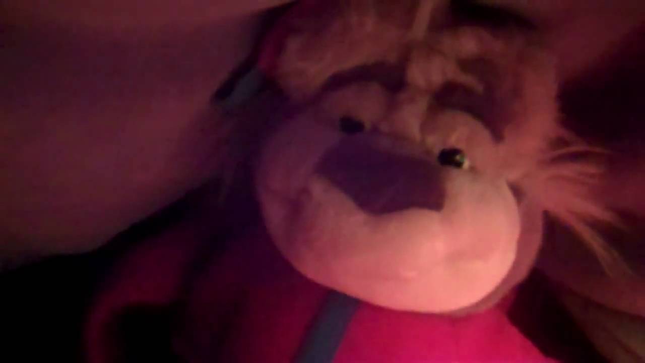Bedtime With Bubba