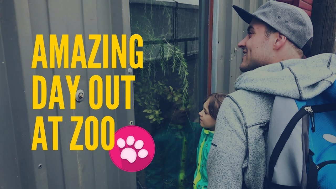 Amazing Day Out | Five Sisters Zoo