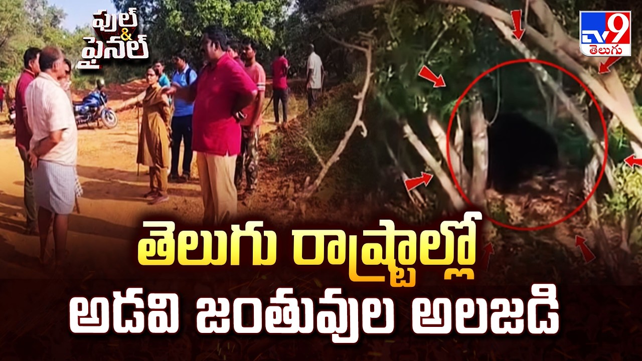 తెలుగు రాష్ట్రాల్లో అడవి జంతువుల అలజడి - TV9