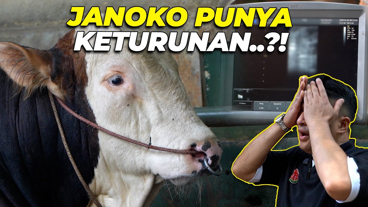 SYOKK BANGET..! JANOKO AKHIRNYA PUNYA KETURUNAN..?? TAPI KOK...