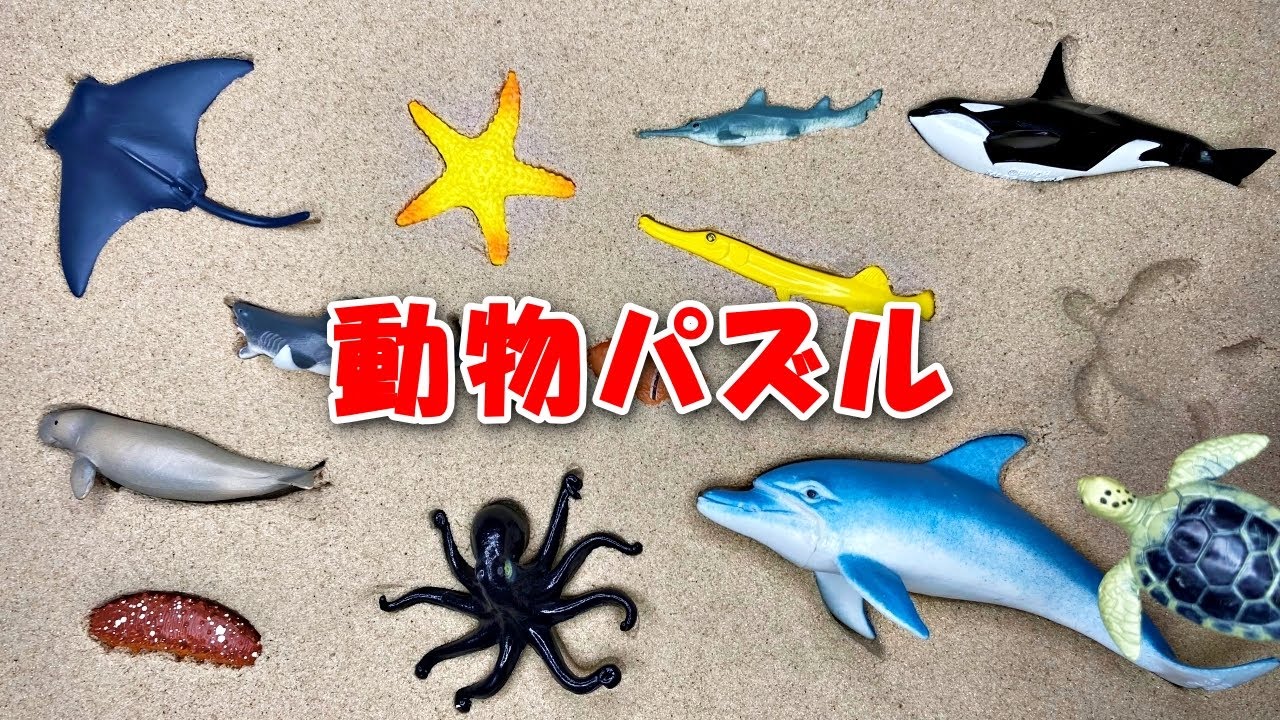 動物パズル★海の生き物の形を合わせよう！【知育動画】