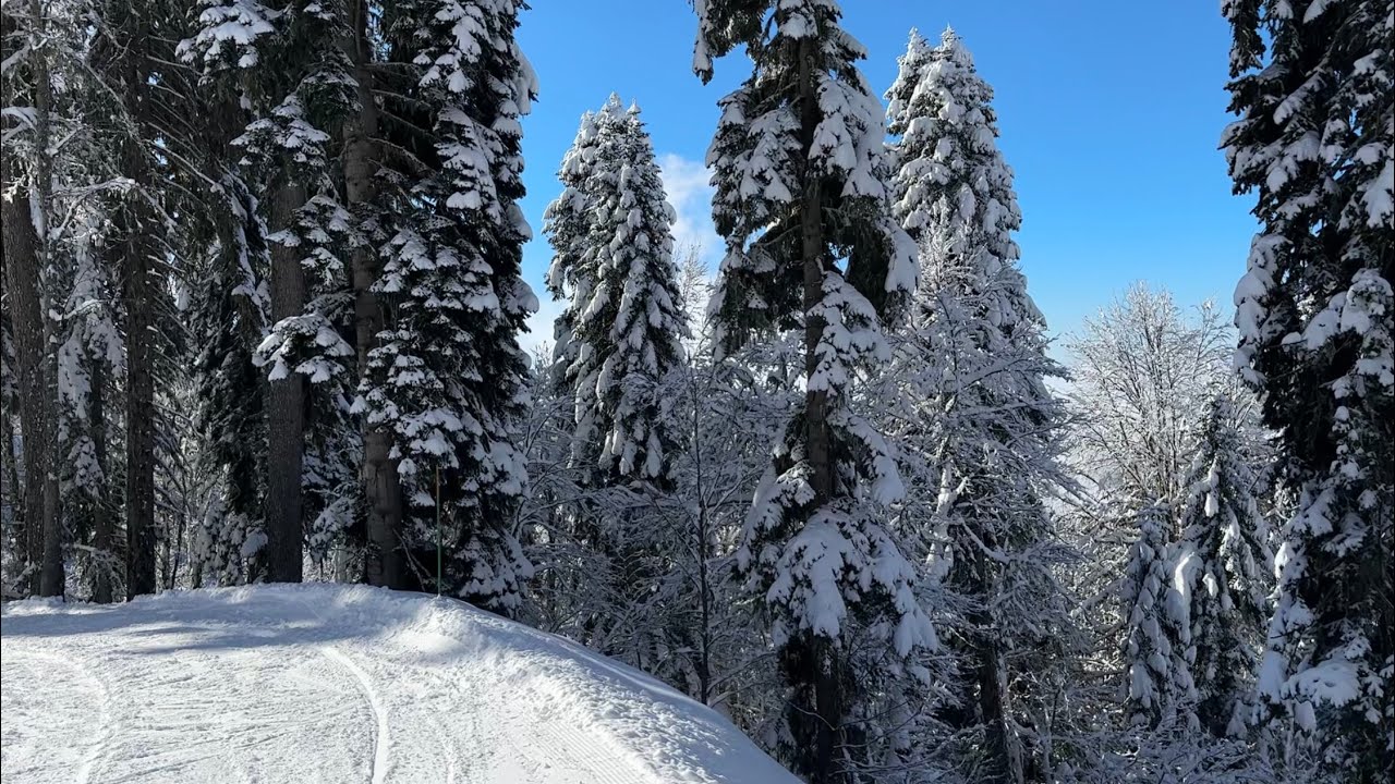 Спуск по ЯВОР-2 с РОЗА ПИК (Красная Поляна)