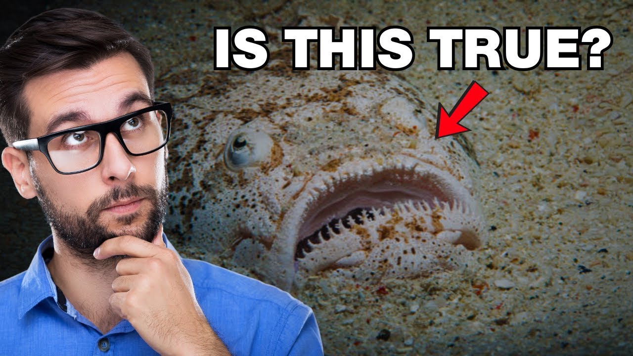 6 Deadly Sea Monsters That Turned Out to Be REAL Creatures