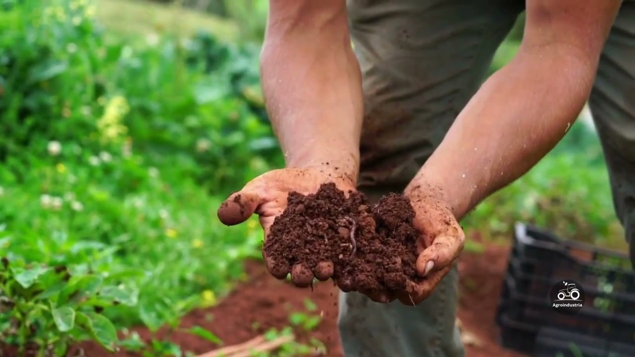 Abonos Org&aacute;nicos: Tipos, Usos y C&oacute;mo Hacerlos | Gu&iacute;a Completa para Cultivar Sano