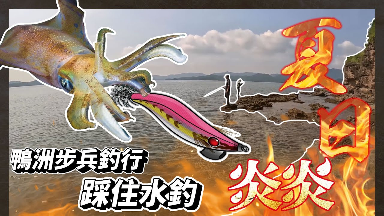 夏日炎炎 踩住水釣 半日步兵FIT魷有咩收穫? | #香港釣魚 #鴨洲 #fit魷 #大尾魷