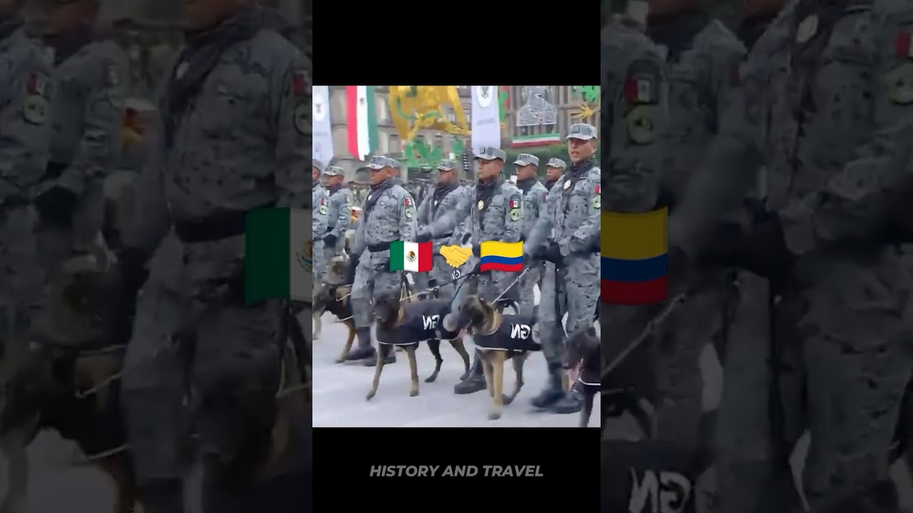 Pa&iacute;ses que Apoyan a Colombia 🇨🇴❤️ Countries that Support Colombia #colombia #countries #edit