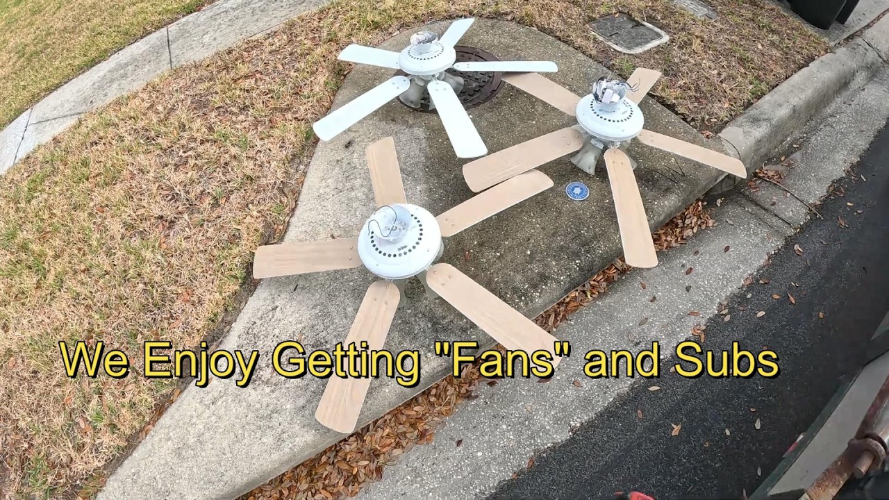 Fan-tastic Friday