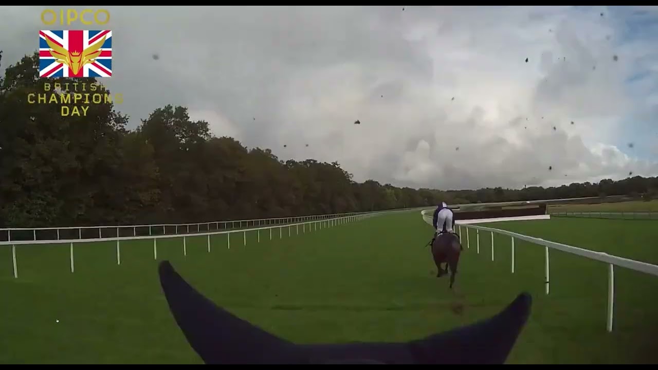 2023 10 /21R1/Frankie Dettori/Trawlerman(Age:5)T .John & Thady Gosden @ Ascot Frankie jockeys cam