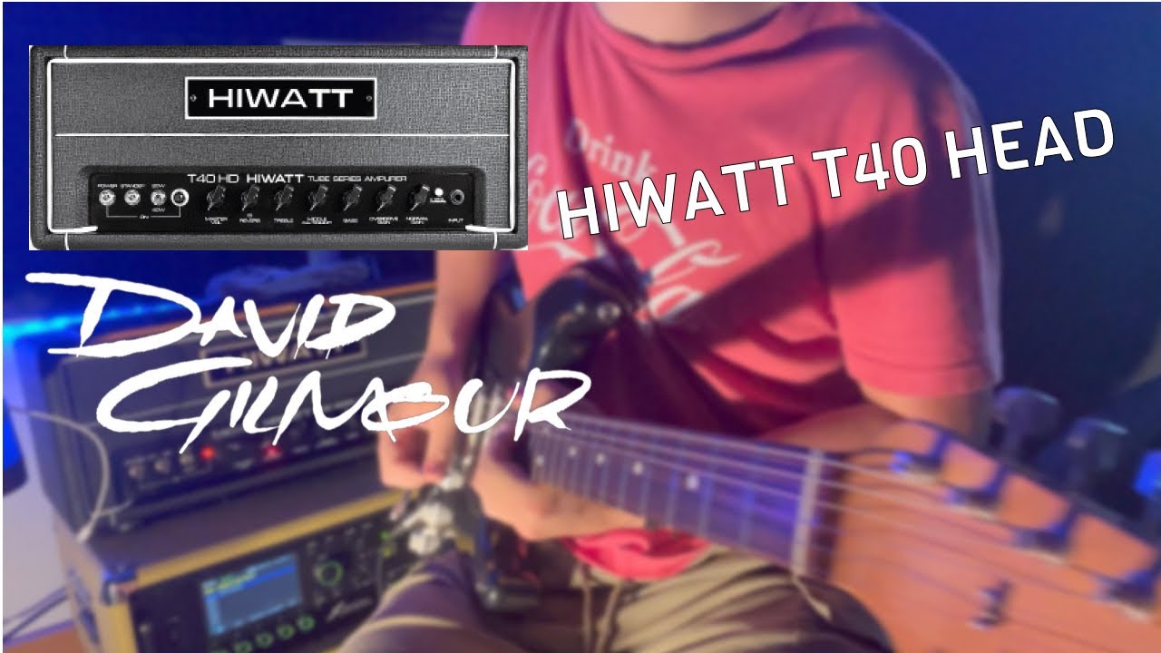 THE HIWATT T40 - Review for David Gilmour and Pink Floyd sound