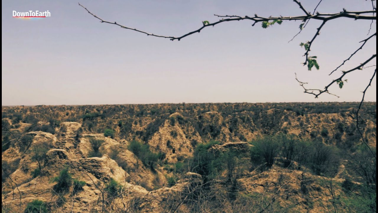 (Beehad) Ravines of Chambal - Taking back the badlands