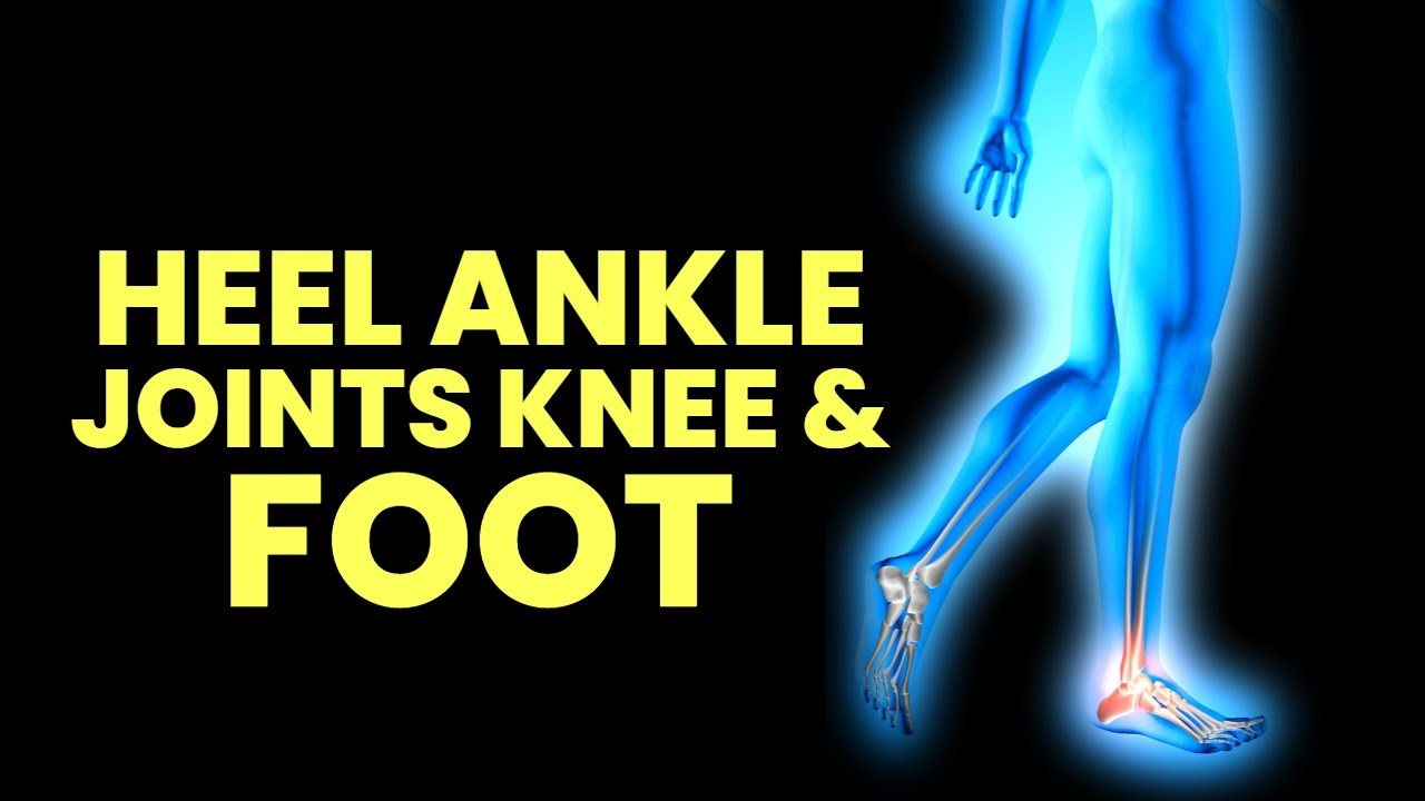 Strengthen Tibialis Anterior Muscles | Heal Ankle Joints Knee and Foot | Improve Your Gait Cycle
