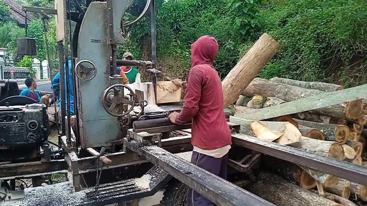 Gergaji kayu randu kapas yang super besar