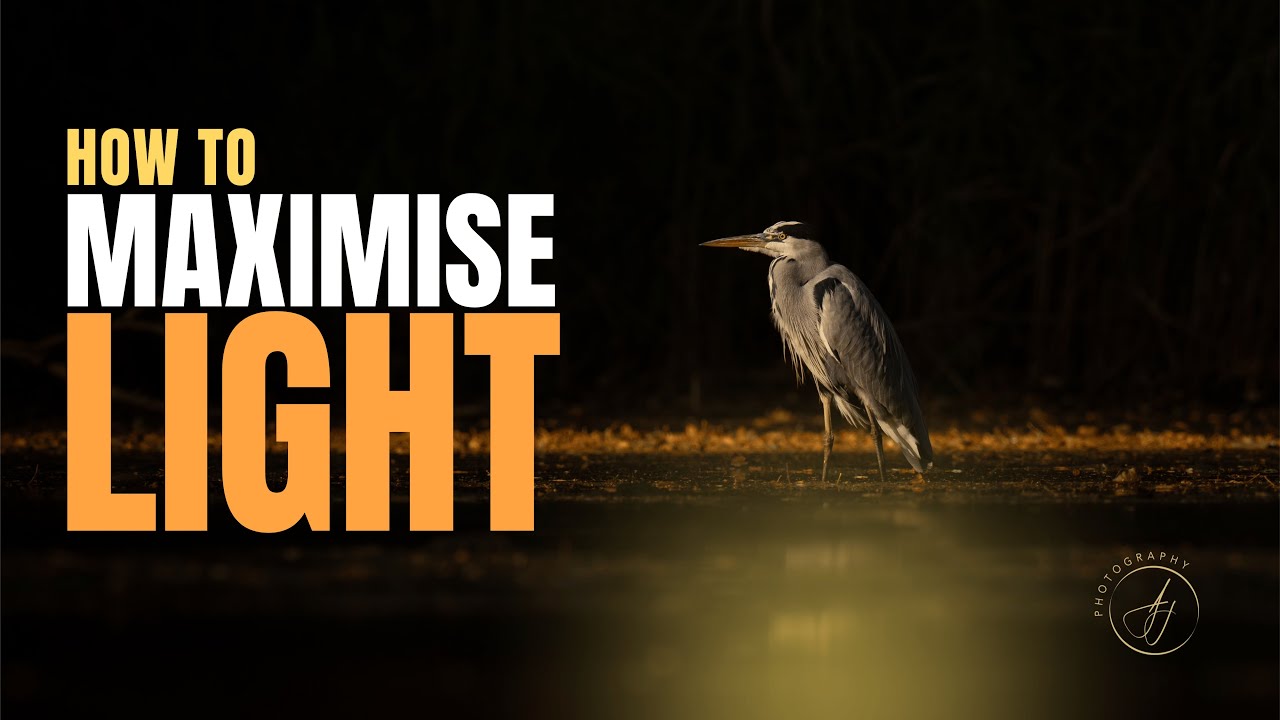 HOW TO MAXIMISE LIGHT!