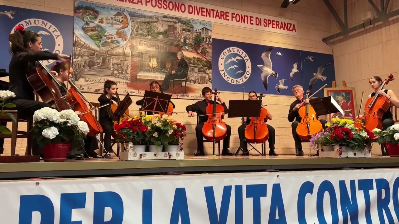 Cello Festival 2025  |  Molino Silla  11 maggio 2025