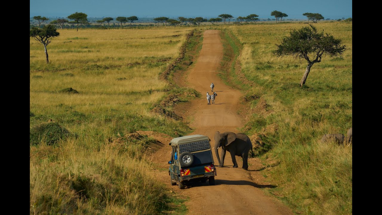 African Safari Adventure: Maasai Mara & Serengeti