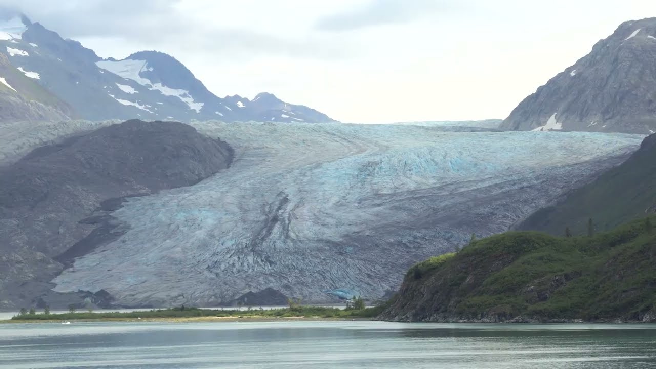 Glacier Bay National Park - Glaciers and Wildlife