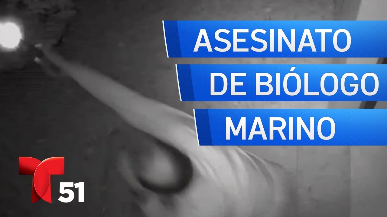 Presentan video del momento en que enfermero le dispara a biólogo marino en Puerto Rico