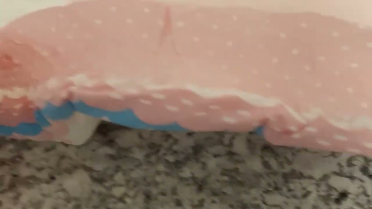 Bunny Hops 