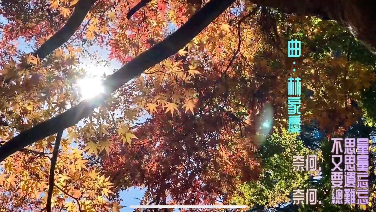 🍁江蕾～楓林小橋+秋夜寄情+迷情🍁詞曲：林家慶。蕭之華～1080p