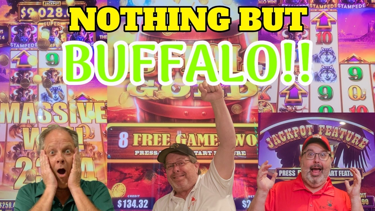 3 Buffalo Slots, 3 Bonus Wins - Rare 2 Arrow Hit at Coushatta Casino!