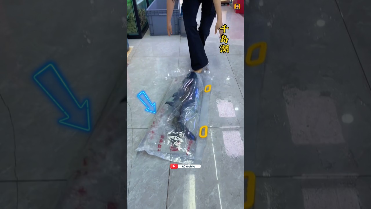 Weired chinese fish export claim 