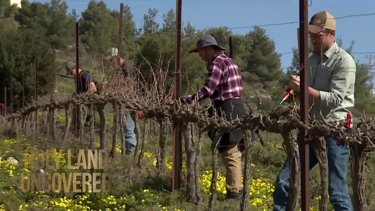 Non-Profit 'Hayovel' Brings Christians to Farm Land of Israel