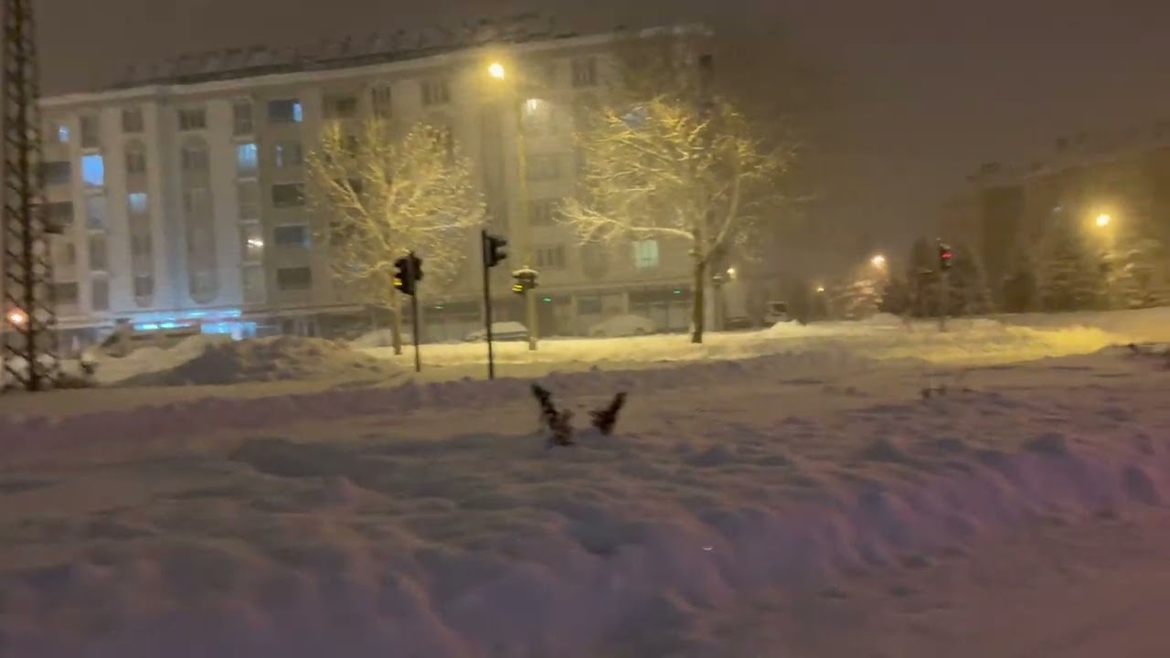 25 Ocak 2022 yoğun kış ( 4k 30 FPS )