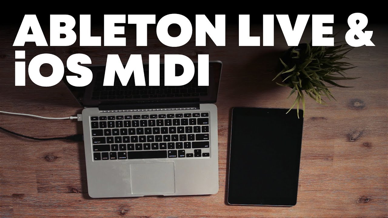 How to use iOS MIDI apps to control Ableton Live (Mac)