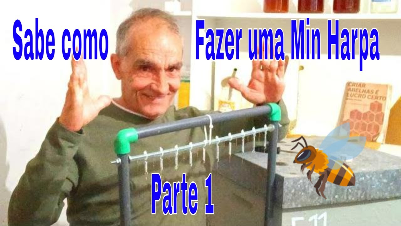 VESPA ASIATICA  Fazer uma  Min  Harpa -Parte 1#yutube_videos #vespaasiática @euclidessantanasantana