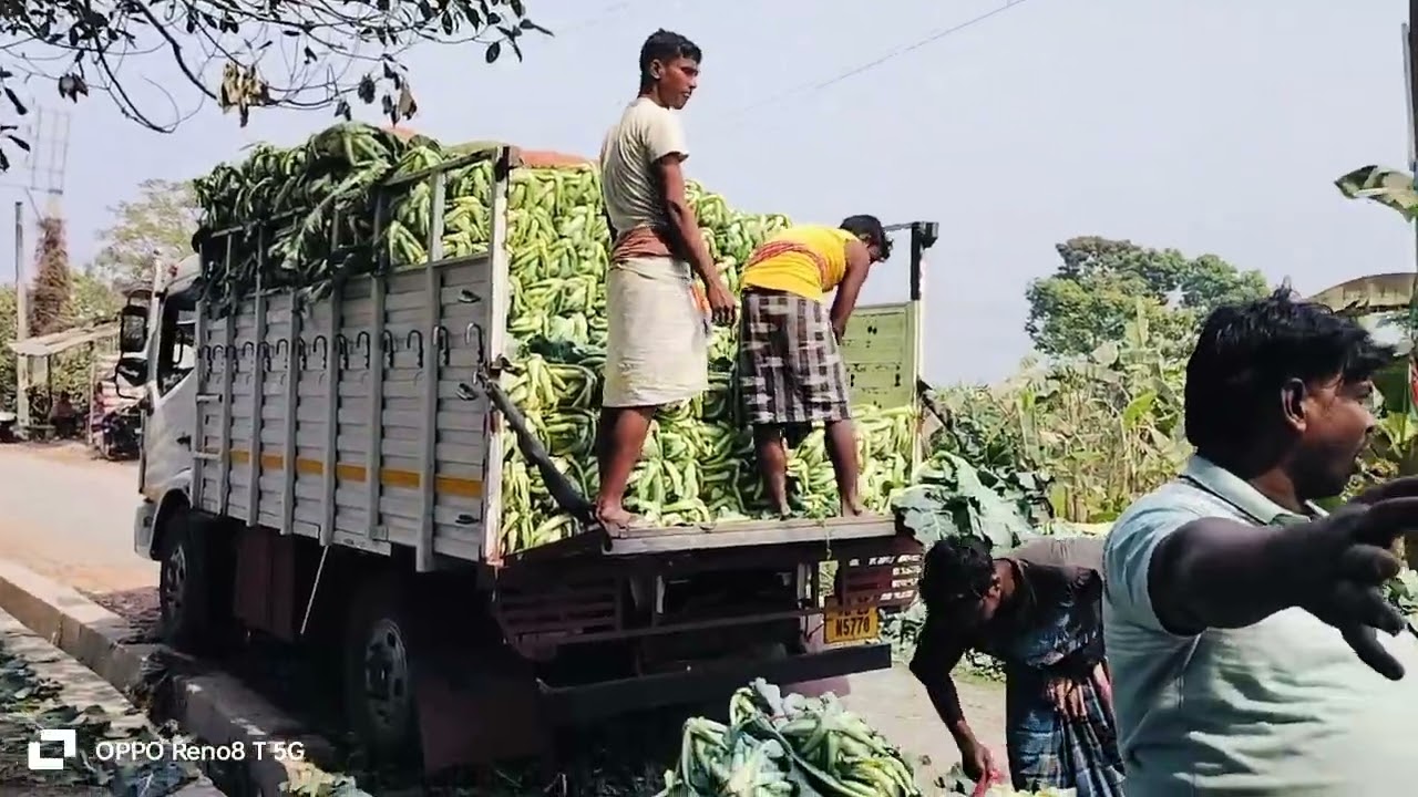 Kolkata to Odisha loading gobi