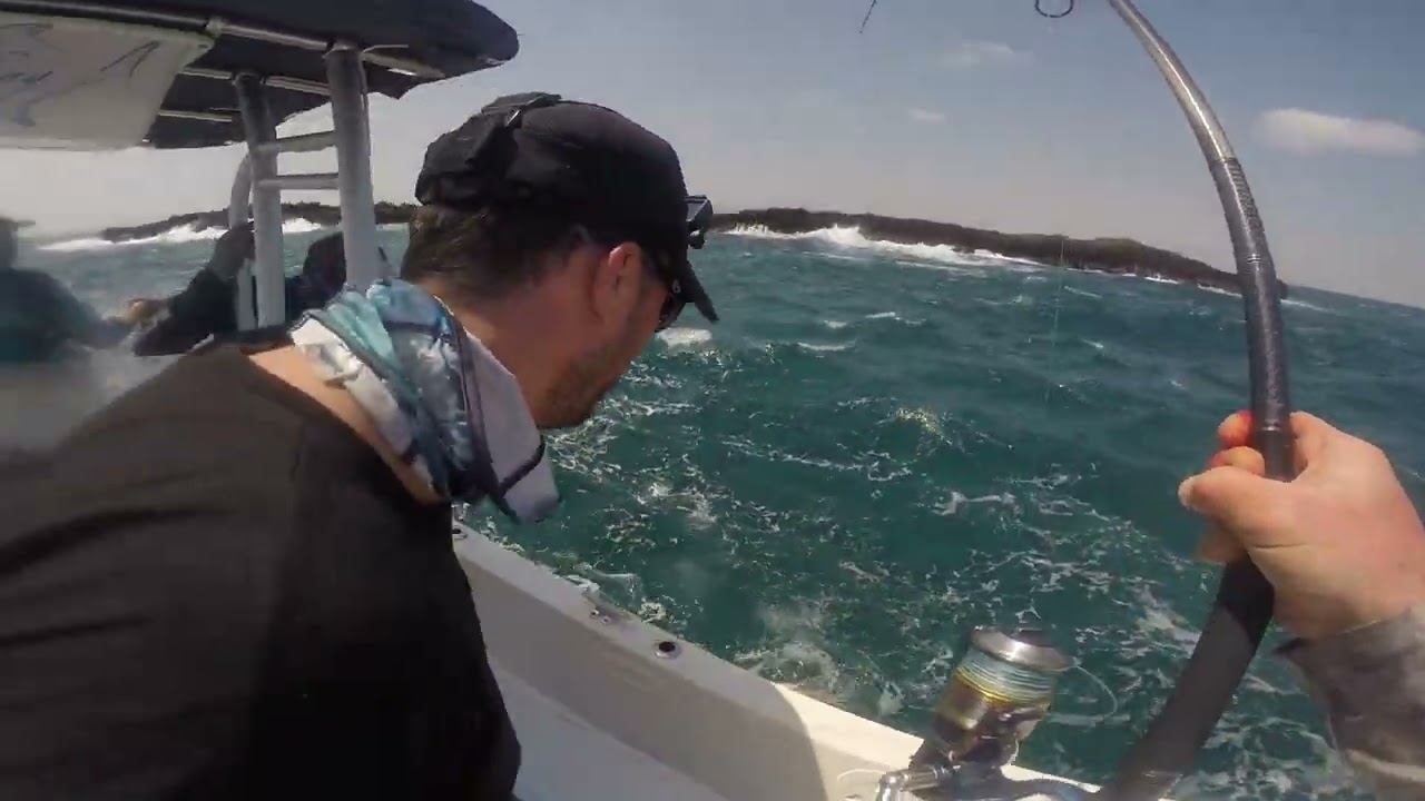 Skywalker popping film HR