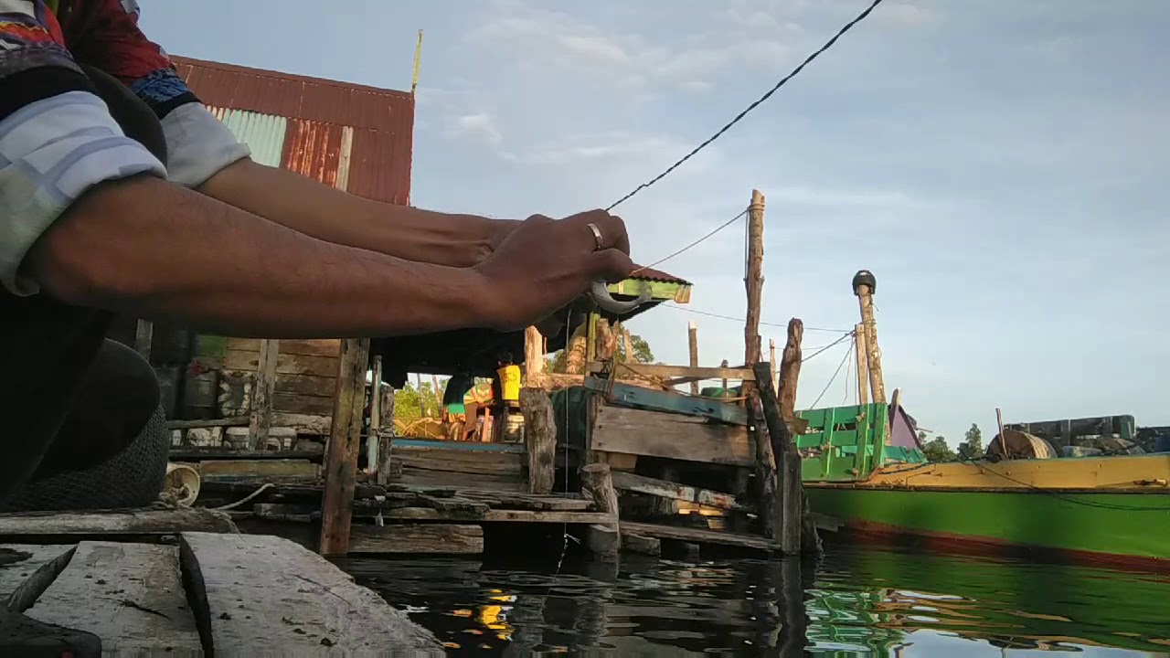 GAUL Tarakan - Strike Baronang bertubi tubi