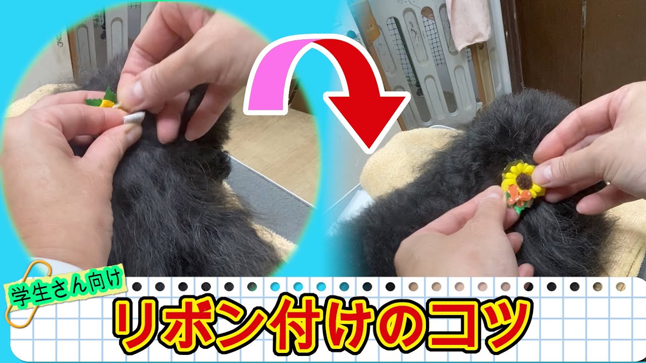 #69  【リボンつけのコツ 】