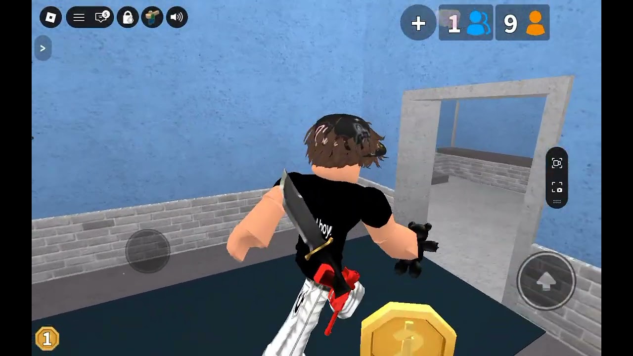 Playing mm2 with my fans...