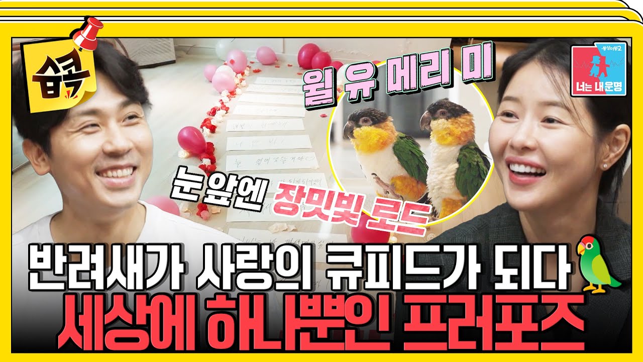 [#습콕📌] 사랑의 큐피드는 반려새🦜세상에 단 하나뿐인 특별한 프러포즈 #동상이몽2 #YouareMyDestiny #SBSenter