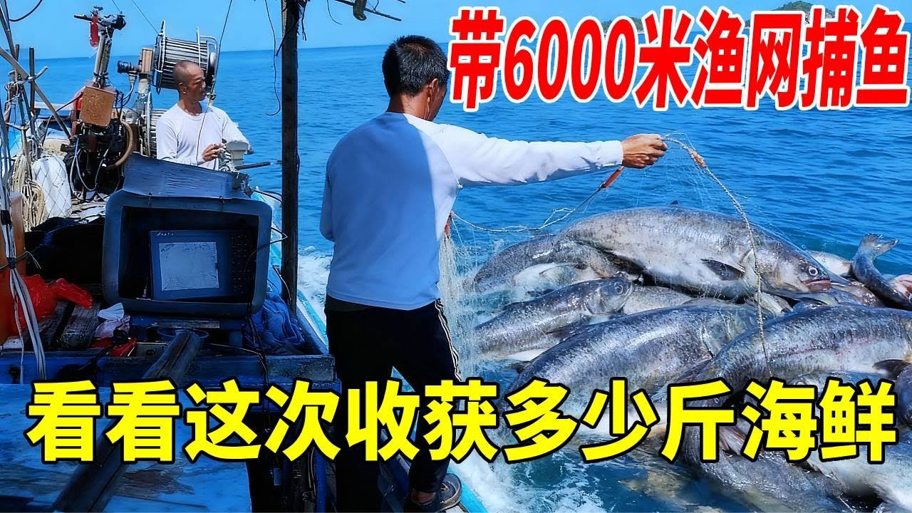 带6000米渔网出外海捕鱼，接连的遇到鱼群，这次的运气爆棚了#赶海 #捕鱼 #丰收 #渔民生活实拍